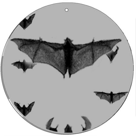 Magic Disc - CineSpinner Bat 5,5'