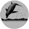 Magic Disc - CineSpinner Dolphin 11'